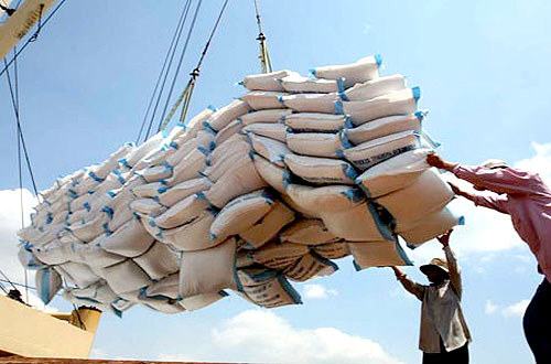 Gỡ khó cho gạo xuất khẩu