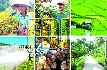 Thu hút FDI, tạo đà phát triển bền vững ngành nông nghiệp