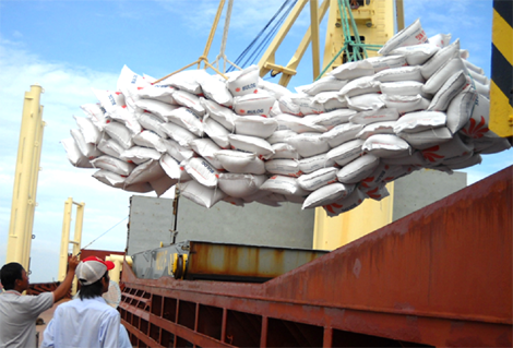 Việt Nam trúng thầu 800.000 tấn gạo