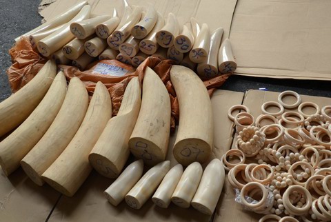 Lại phát hiện nhập lậu hơn 90kg ngà voi qua Cửa khẩu Tân Sơn Nhất