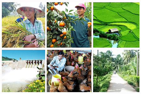 Đầu tư vào nông nghiệp: Chiến lược kinh doanh bền vững