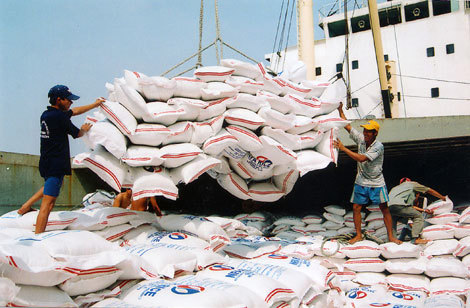 Năm 2013: Xuất khẩu gạo còn khó khăn 