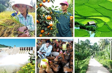 Dòng vốn tín dụng cần về nông nghiệp, nông thôn nhiều hơn