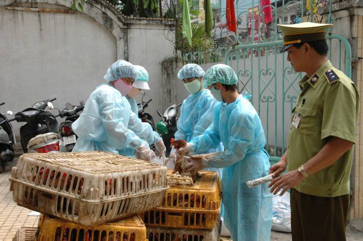 Triển khai quyết liệt Đề án phòng ngừa, ngăn chặn vận chuyển và kinh doanh gia cầm, sản phẩm gia cầm nhập khẩu trái phép