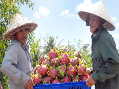 Gỡ nợ xấu cho ngành nông sản