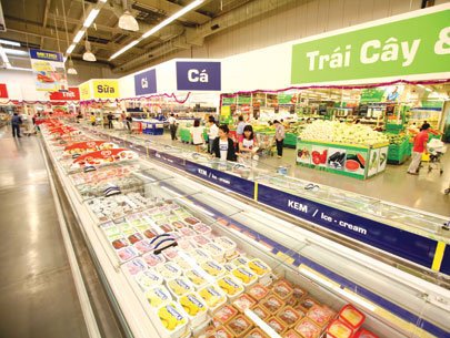 Đầu tư nước ngoài và doanh nghiệp dân tộc