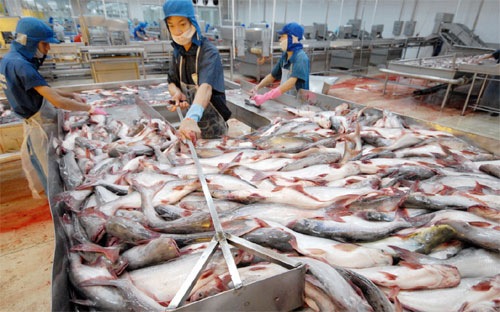 Mỹ tăng thuế chống bán phá giá cá tra