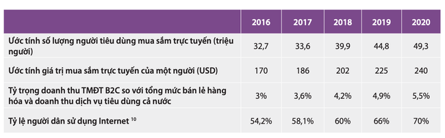 Thị trường thương mại điện tử Việt Nam 2020: Tăng trưởng 18%, quy mô gần 50 triệu người - Ảnh 2