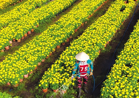 Xuân về trên đất Hậu Giang - Ảnh 2