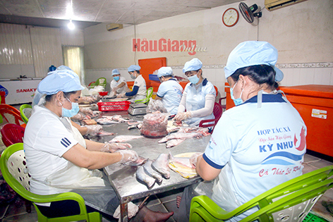 HTX Kỳ Như cần nguồn vốn vay từ 3-5 tỉ đồng để mở rộng sản xuất kinh doanh, xây dựng các sản phẩm đạt chuẩn VietGAP. Ảnh: Trúc Linh
