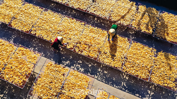 Hợp tác xã Kiên Cường đã đưa sản phẩm bánh phồng tôm vào OCOP và đi xa vào thị trường trong và ngoài nước. 