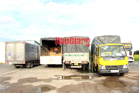 Tổng doanh thu vận tải, dịch vụ kho bãi trong thánh 8 ước đạt trên 126 tỉ đồng. Ảnh: AL