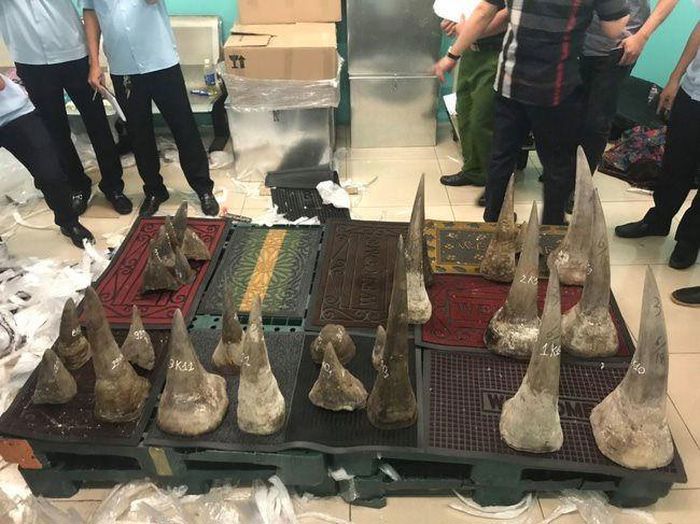 Số tang vật nghi là sừng tê giác được phát hiện tại sân bay Tân Sơn Nhất.