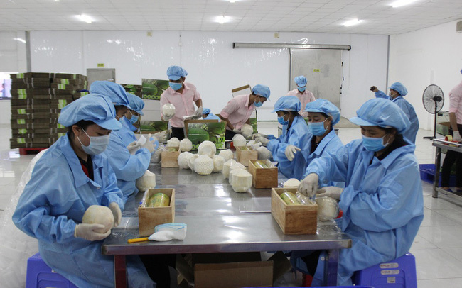 Phấn đấu trong giai đoạn 2021-2030, tốc độ tăng trưởng giá trị gia tăng bình quân rau quả trên 10%/năm