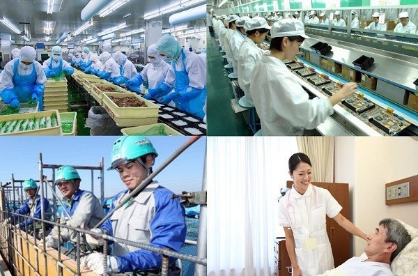 Từ 1/1/2020, lao động đi làm việc ở Đài Loan được tăng thu nhập.