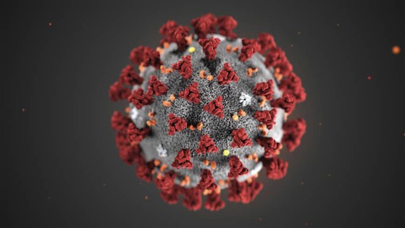 Ảnh minh hoạ chủng virus corona mới (2019-nCoV). Nguồn: AP