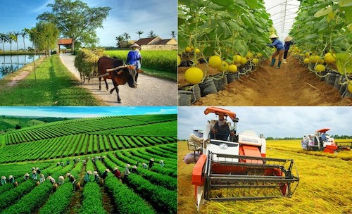 Thách thức cho ngành Nông nghiệp khi tham gia Hiệp định EVFTA, đó là việc đáp ứng quy tắc nguồn gốc xuất xứ để đảm bảo quyền lợi hưởng ưu đãi. 