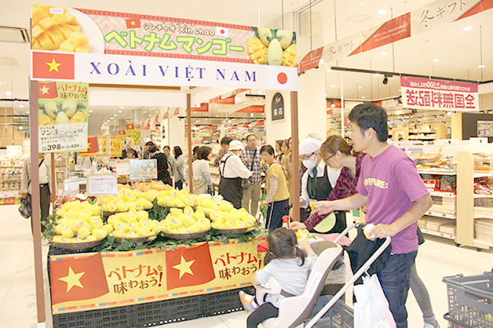 Xoài Việt Nam tại siêu thị Nhật Bản. Nguồn: Internet.
