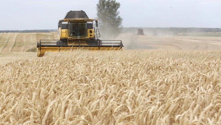 Các lệnh trừng phạt Nga sẽ dẫn đến tình trạng khan hiếm lúa mì.