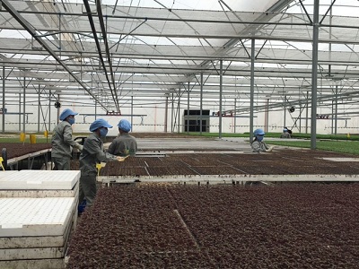 Ứng dụng công nghệ cao vào trồng trọt giúp tăng năng suất và chất lượng của rau, quả Việt Nam