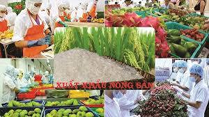 Ảnh minh họa. Nguồn: Internet.