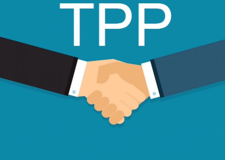 Sau khi Tổng thống Donald Trump quyết định rút khỏi TPP, 11 thành viên còn lại - được gọi là "TPP 11", đang nỗ lực đạt một thỏa thuận vào tháng 11/2017. Nguồn: Internet