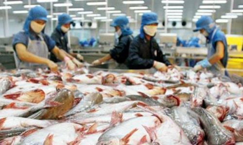Các doanh nghiệp xuất khẩu trong nước đã cam kết chỉ mua hải sản từ những tàu cá khai thác hợp pháp, có nguồn gốc xuất xứ rõ ràng. Nguồn: Internet