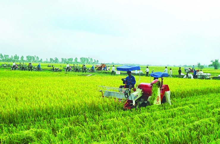 Phó Thủ tướng Chính phủ Vương Đình Huệ giao Bộ Tài chính nghiên cứu, đề xuất chính sách ưu đãi về thuế cho các hợp tác xã. Nguồn: Internet