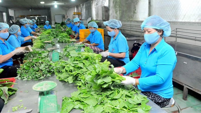 Kinh tế tập thể, hợp tác xã có vai trò đóng góp quan trọng trong phát triển kinh tế-xã hội của đất nước