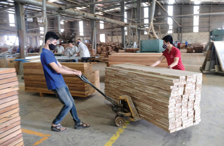Các doanh nghiệp chế biến gỗ đang tích cực khôi phục sản xuất.