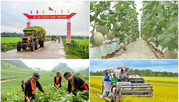 Ảnh minh họa. Nguồn: internet