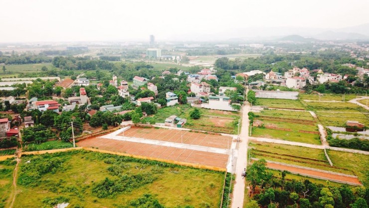 Ảnh minh họa. Nguồn: internet