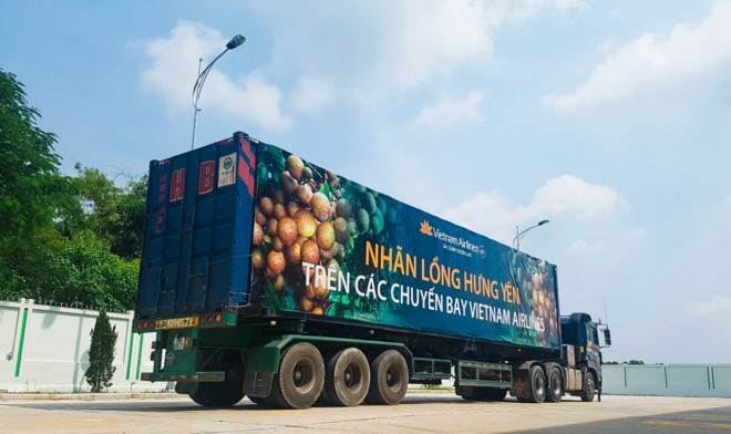 Nhãn lồng Hưng Yên sẽ trở thành món tráng miệng trên khoang Thương gia, được phục vụ trên hơn 70 đường bay của Vietnam Airlines. Nguồn: internet