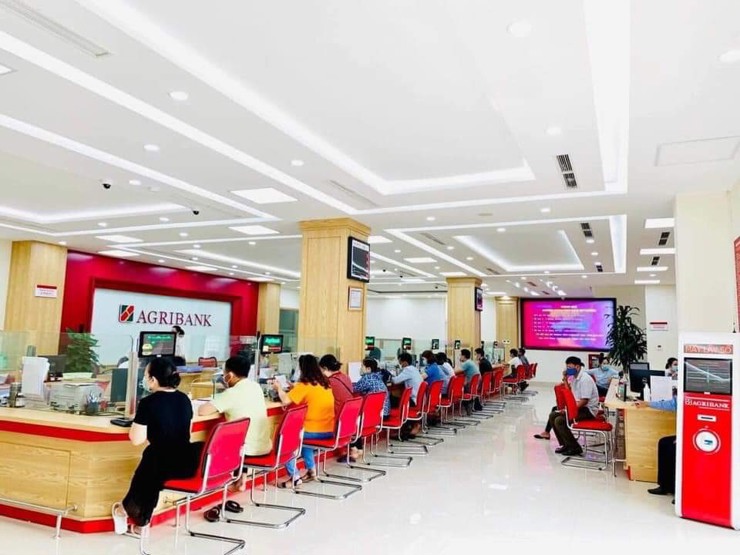 Ảnh minh họa. Nguồn: internet.