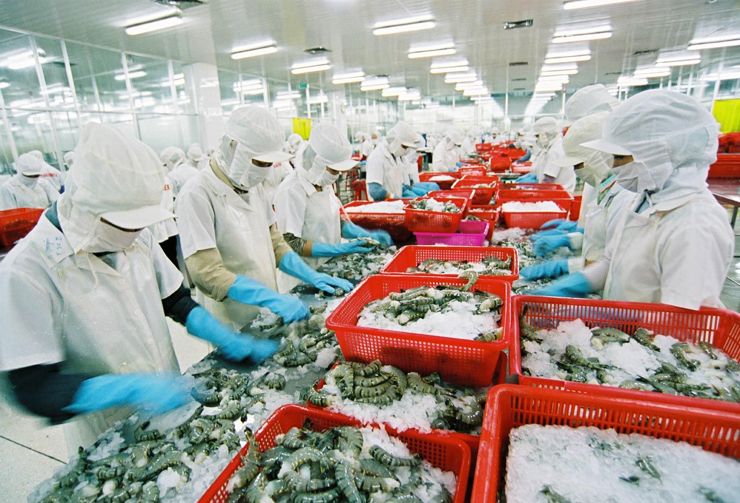 Nhu cầu tiêu thụ thủy sản trên thị trường thế giới nửa cuối năm khá khả quan.