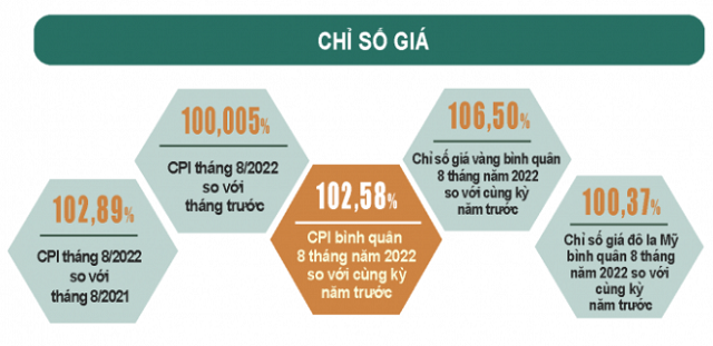 Tình hình kinh tế xã hội tháng 8 và 8 tháng năm 2022 - Ảnh 7