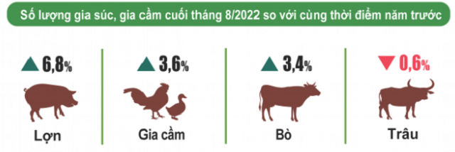 Tình hình kinh tế xã hội tháng 8 và 8 tháng năm 2022 - Ảnh 2