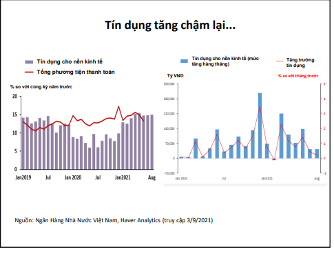 Theo ADB, nhu cầu tín dụng cho đến nay vẫn giảm trong năm 2021 do đại dịch làm gián đoạn sản xuất kinh doanh - Nguồn: ADB