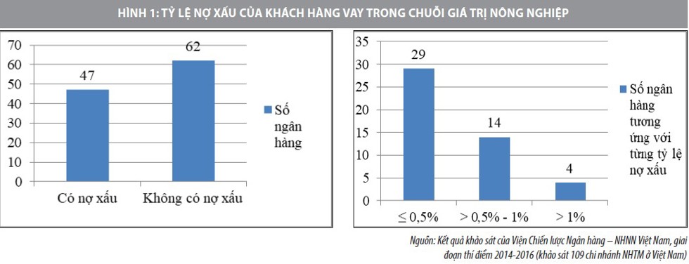 Chất lượng tín dụng qua cho vay theo chuỗi giá trị nông nghiệp tại Agribank Bình Định - Ảnh 1